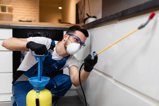 Best Cockroach Control Services  in Judsonia, AR