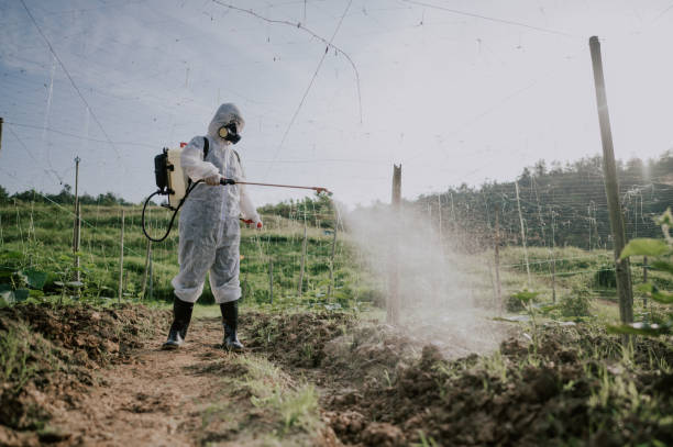 Best Best Pest Control Companies  in Judsonia, AR