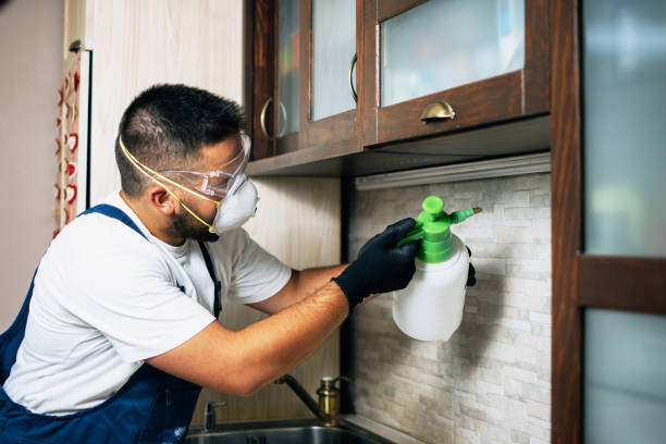 Best Emergency Pest Control  in Judsonia, AR