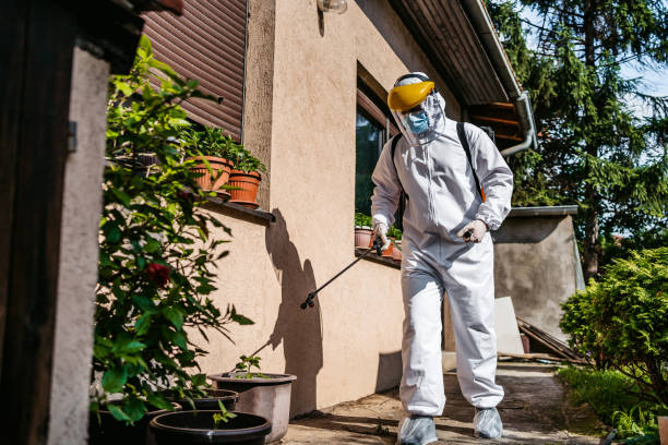 Insect Control in Judsonia, AR