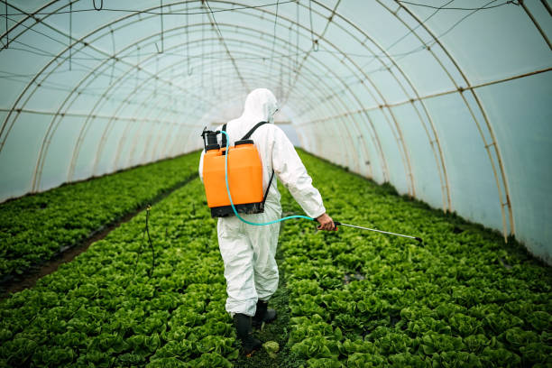 Best Local Pest Control Services  in Judsonia, AR