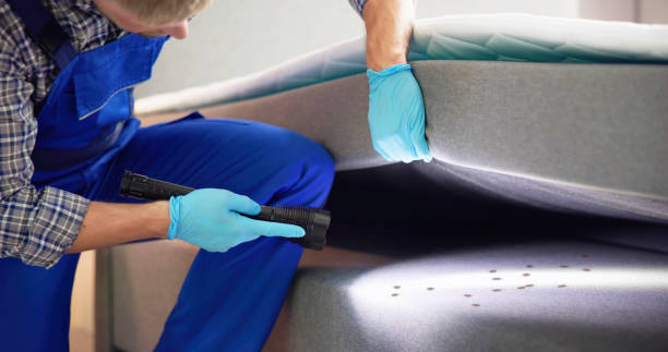 Best Termite Control Services  in Judsonia, AR