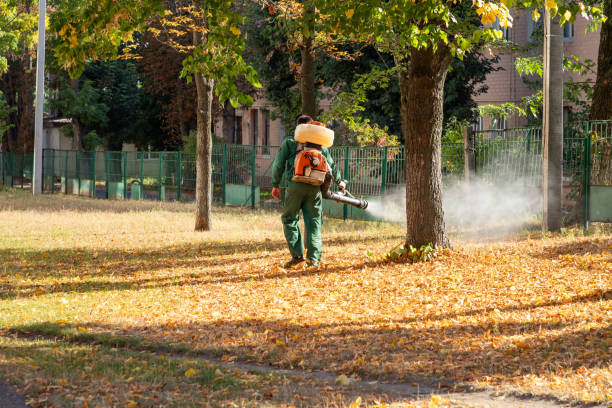 Best Residential Pest Control  in Judsonia, AR